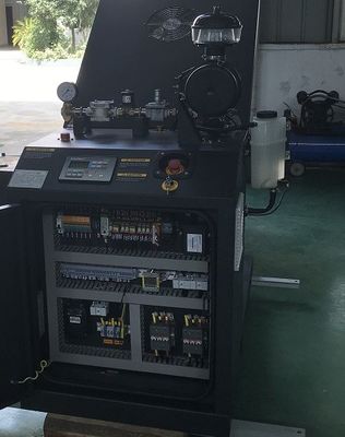 Un bon prix. Production combinée micro refroidie à l'eau de PCCE Cogenerator 12KW 15KW LPG de LPG de moteur en ligne