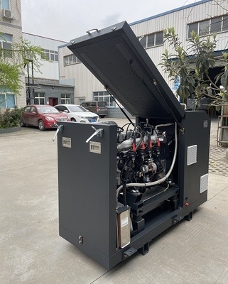Un bon prix. Le CE de rendement élevé a approuvé PCCE micro Mini Cogenerator Set Unit System 16kw 20kva de biogaz en ligne