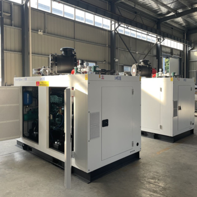 Un bon prix. 200KW 250KVA 50Hz Cogénération au gaz naturel à haut rendement global avec contrôle automatique en ligne