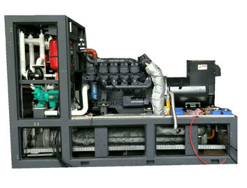 Un bon prix. Générateur électrique au biogaz de 280 KVA 220 KW Performance stable Entretien facile en ligne