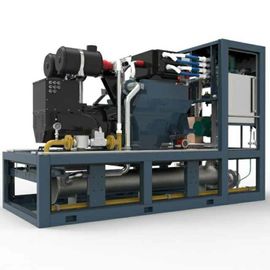 Un bon prix. Systèmes fiabilité 400V/230V élevée de 220KW de biogaz de 3 phases de production combinée de chaleur et d'électricité en ligne