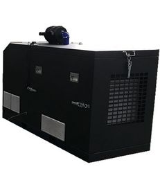Un bon prix. CE silencieux monophasé 60Hz 220V 10KW de groupe électrogène de T/MN 1800 LPG approuvé en ligne