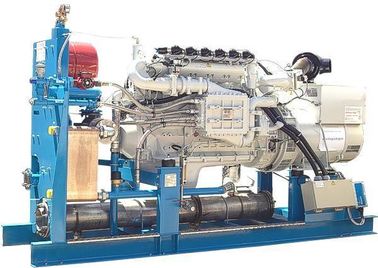 Un bon prix. 60Hz 127V groupe électrogène de biogaz de 3 phases, générateur de gaz de biomasse silencieux/ouvrent la conception en ligne