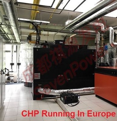 Un bon prix. Générateur continu de gaz naturel de 50Hz 100KW en ligne